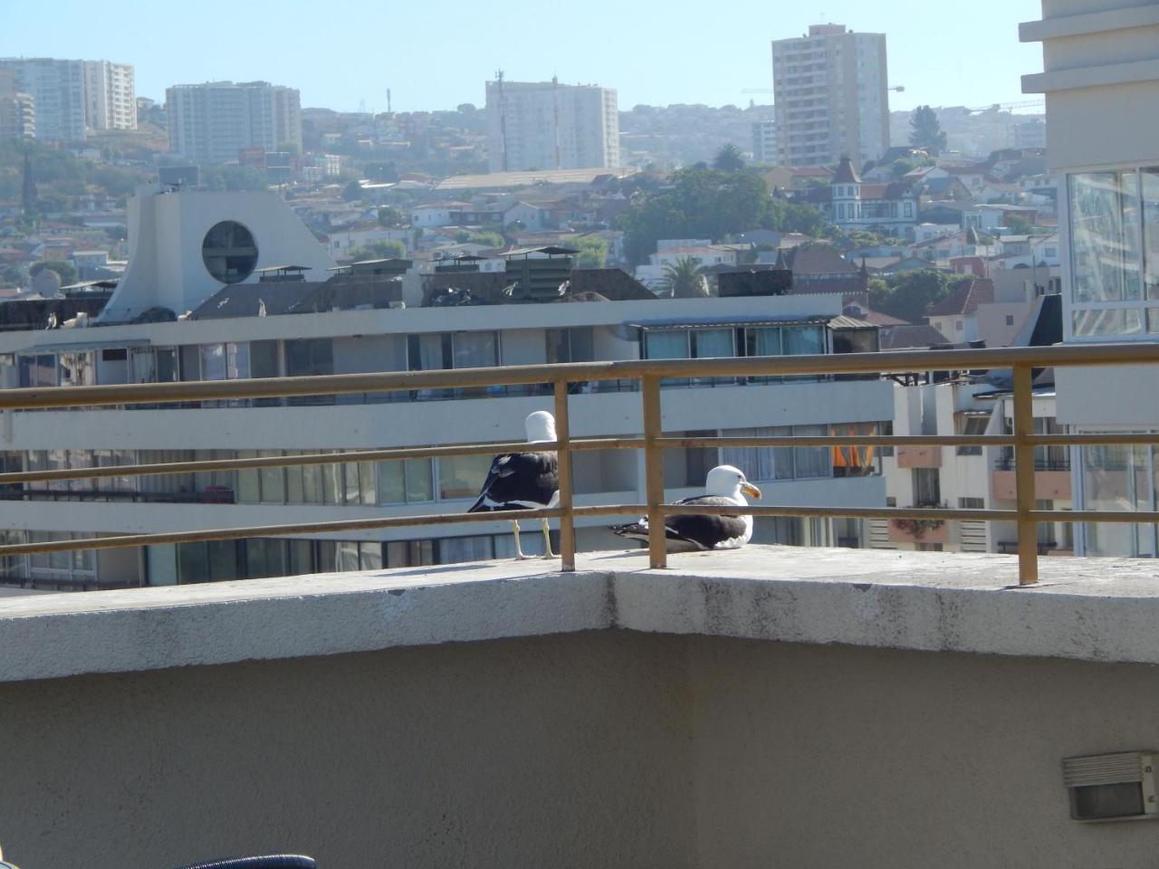 1201 Departamento Vs Centro Vina Apartment Vina del Mar Ngoại thất bức ảnh